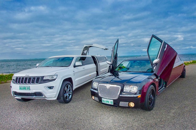 Taxi and Limo Fleet Management